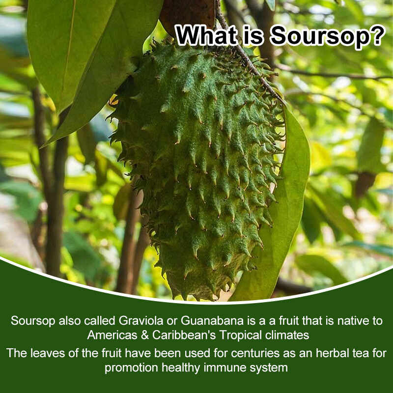 Soursop Graviola Capsules Leaf & Fruit Extract 1000mg Support Respiratory Health