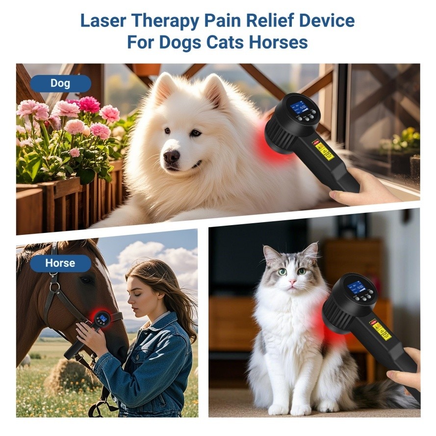 650 808nm 5W NIR Light Laser Therapy for Neuropathy Back Knee Joint Pain Relief