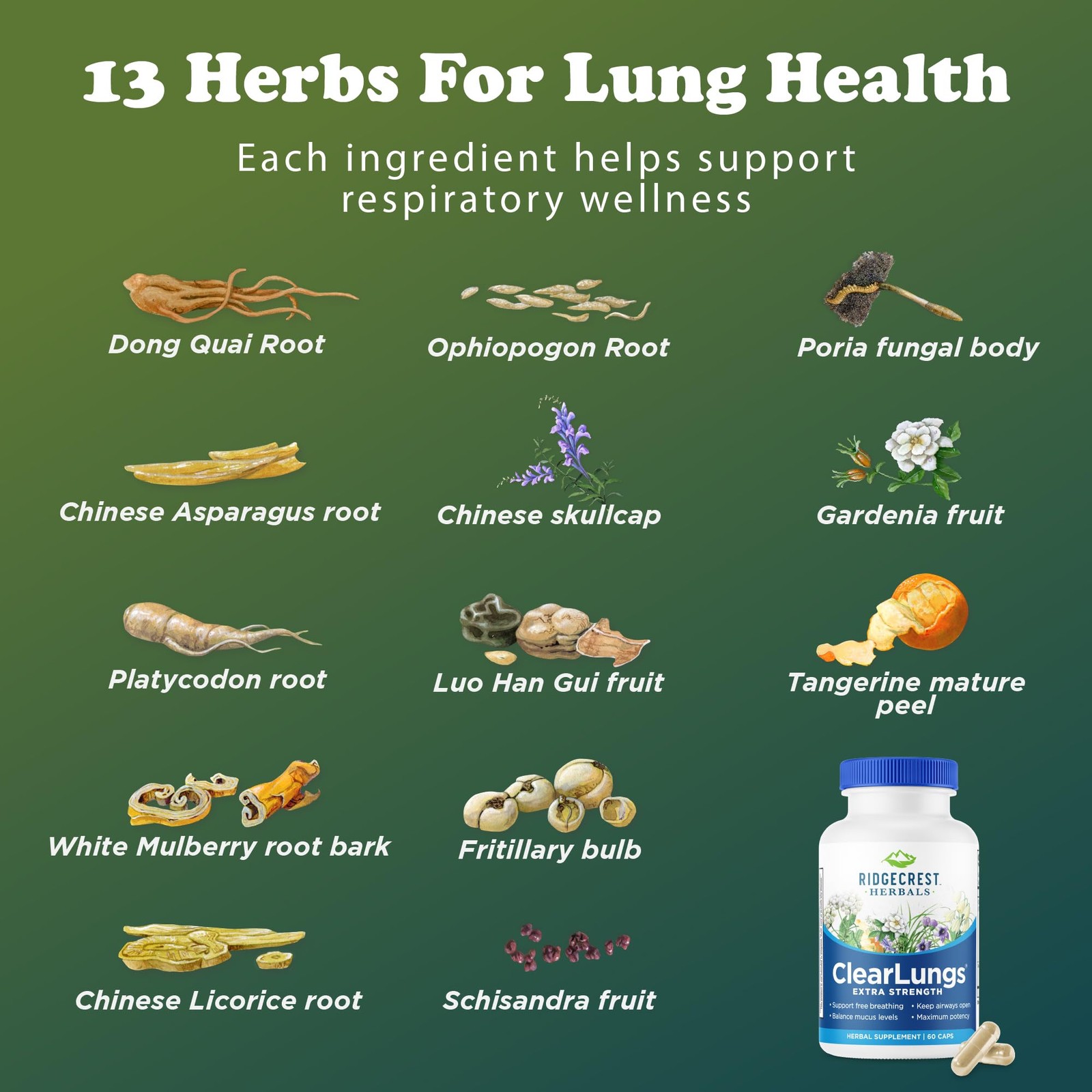 ClearLungs Extra Strength: Natural Lung, Nasal, Sinus, Mucus Support (60 Caps)