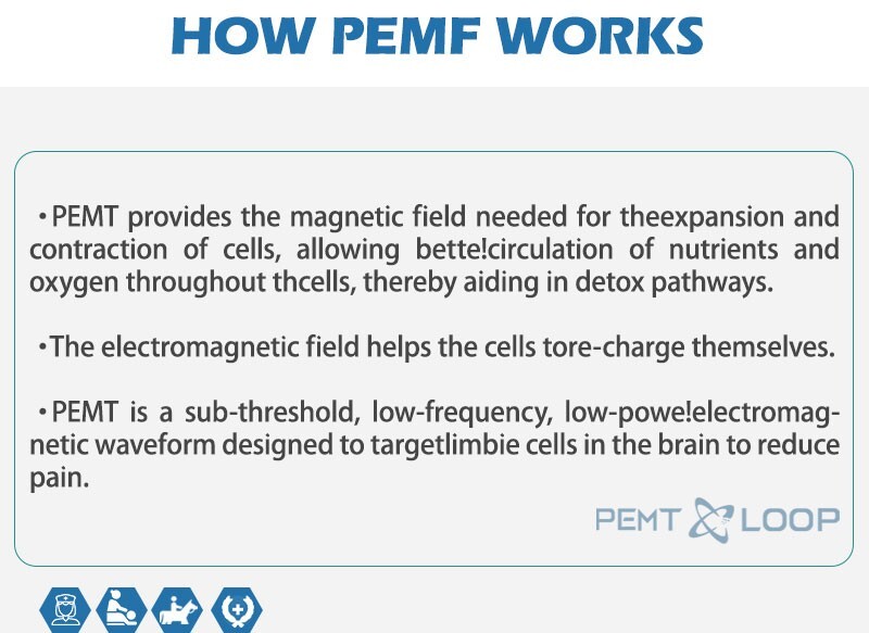 Protable PMST Loop EMTT PEMF Machine Magnetic Physio Therapy Massage Pain Relief
