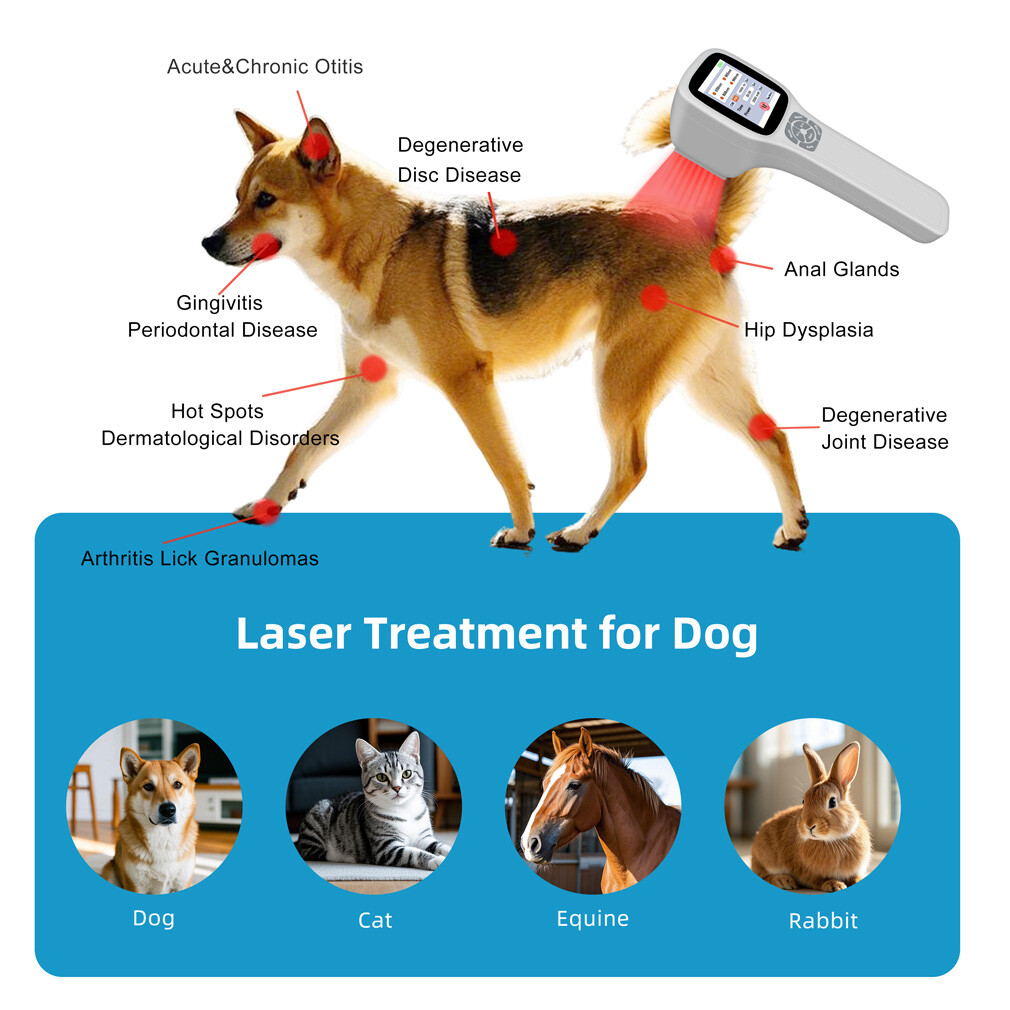 2.5W Class 3b Cold Laser Therapy Device 650nm 808nm 905nm 980nm for Arthritis