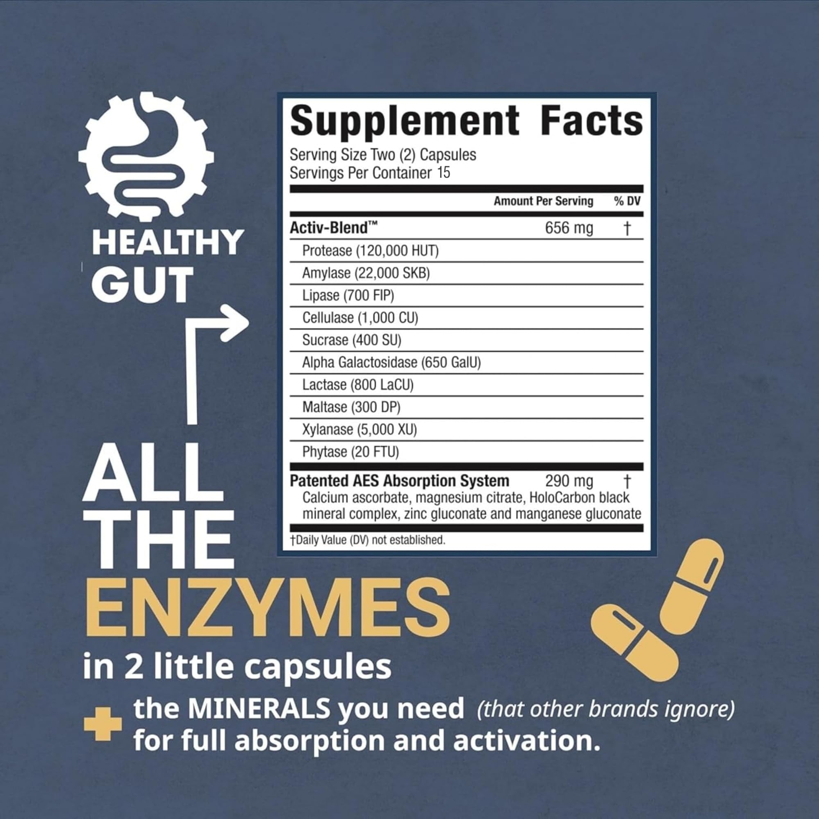 Healthy Gut HoloZyme Digestive Enzyme Supplement 15 Servings Sample Bottle