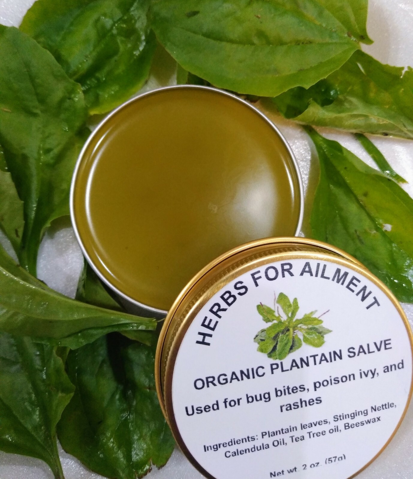 Organic Plantain Broad Leaf Salve Itchy Skin-Bug Bites-Rash Very Potent 2 oz.