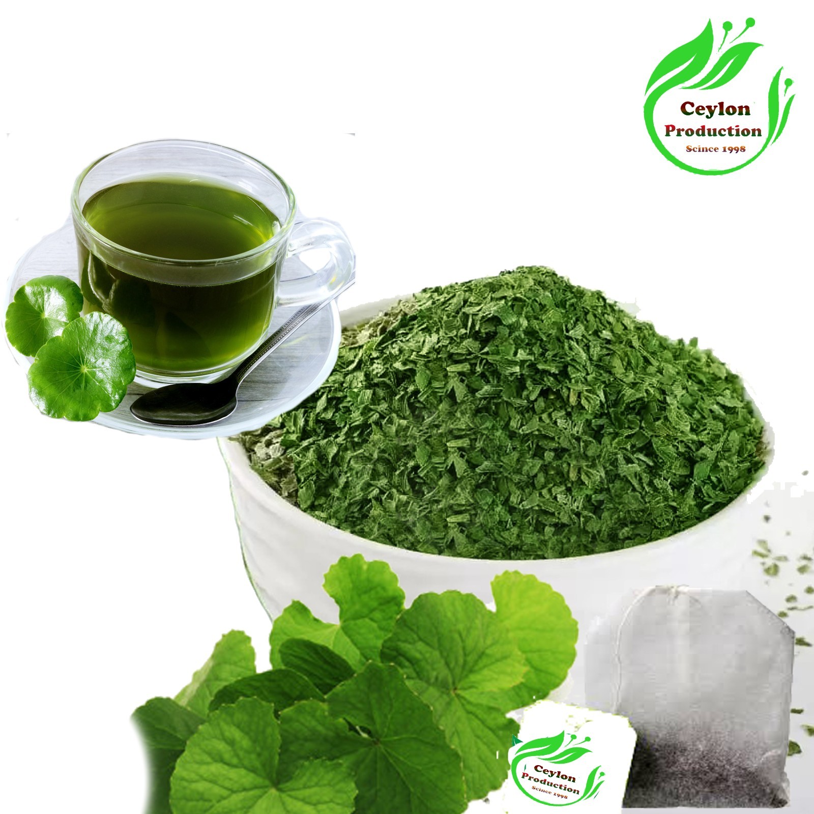 Gotu Kola Centella asiatica Leaves Tea Bags Organic Herbal pennywort Herbal