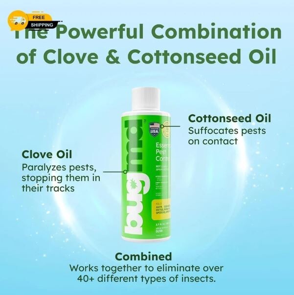 BugMD Pest Control Essential Oil Concentrate 3.7 oz (1-Pack) orginal