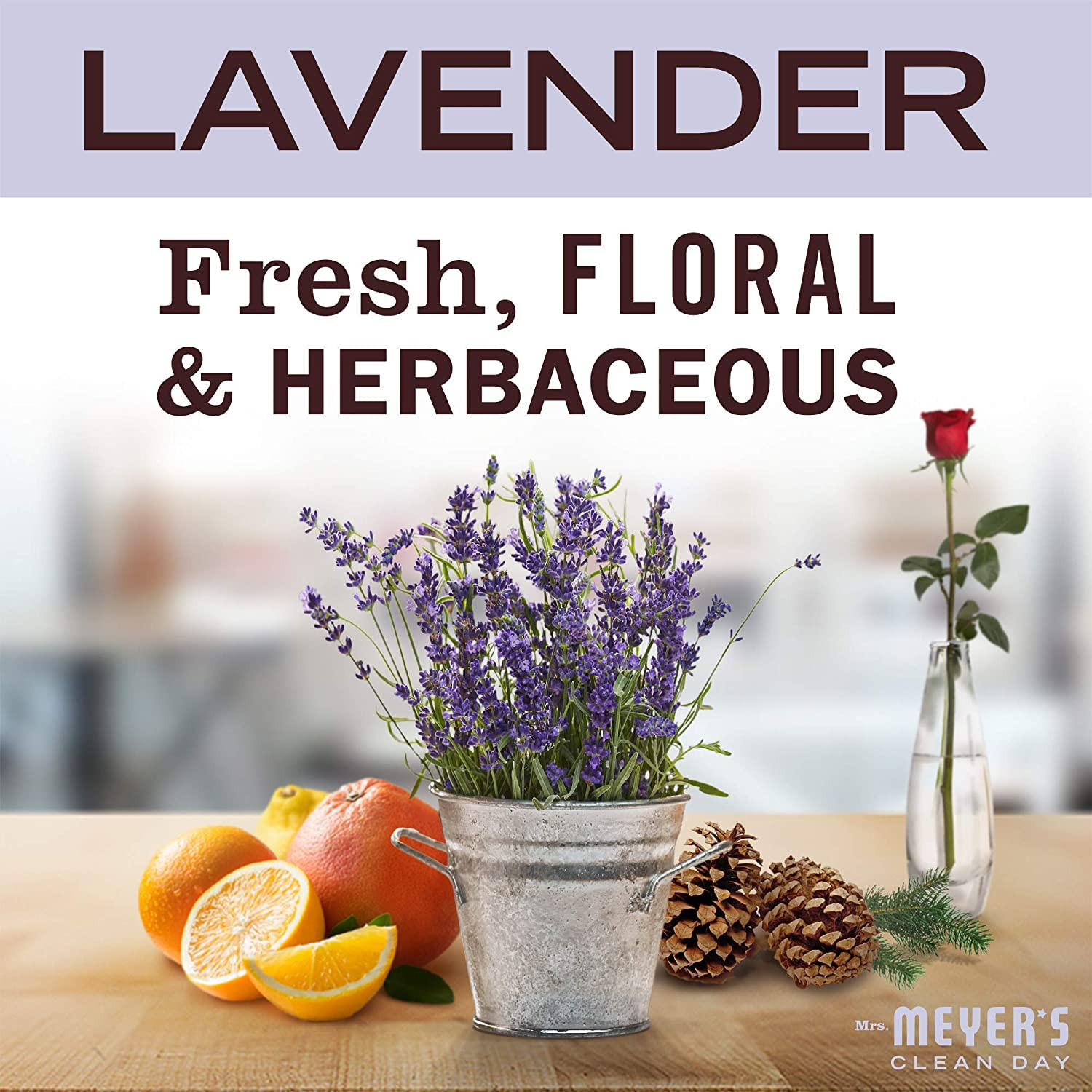 Hand Soap Refill with Essential Oils – Biodegradable Formula