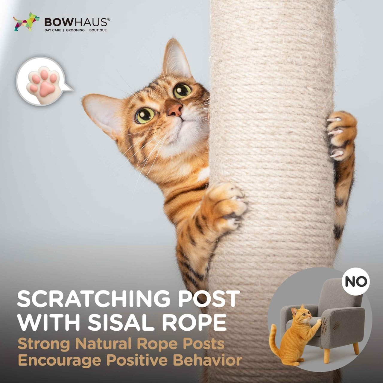 CAPHAUS Scratching Post,10 Inch Modern Lady Bug-Style Cat Scratchers for Indoor