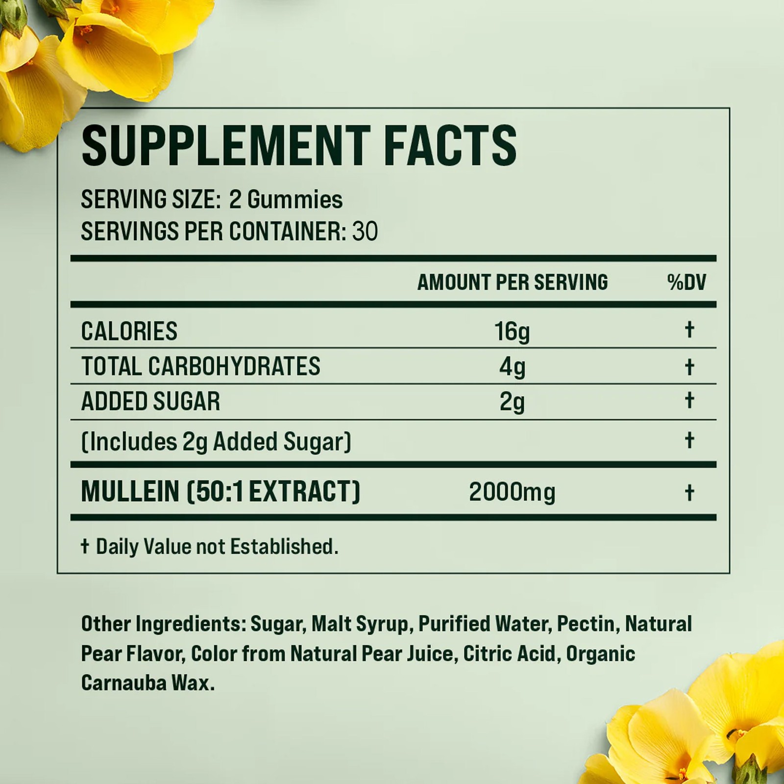 Mullein – Antioxidants, Lung Cleanse & Cough Relief, Respiratory Health, Detox