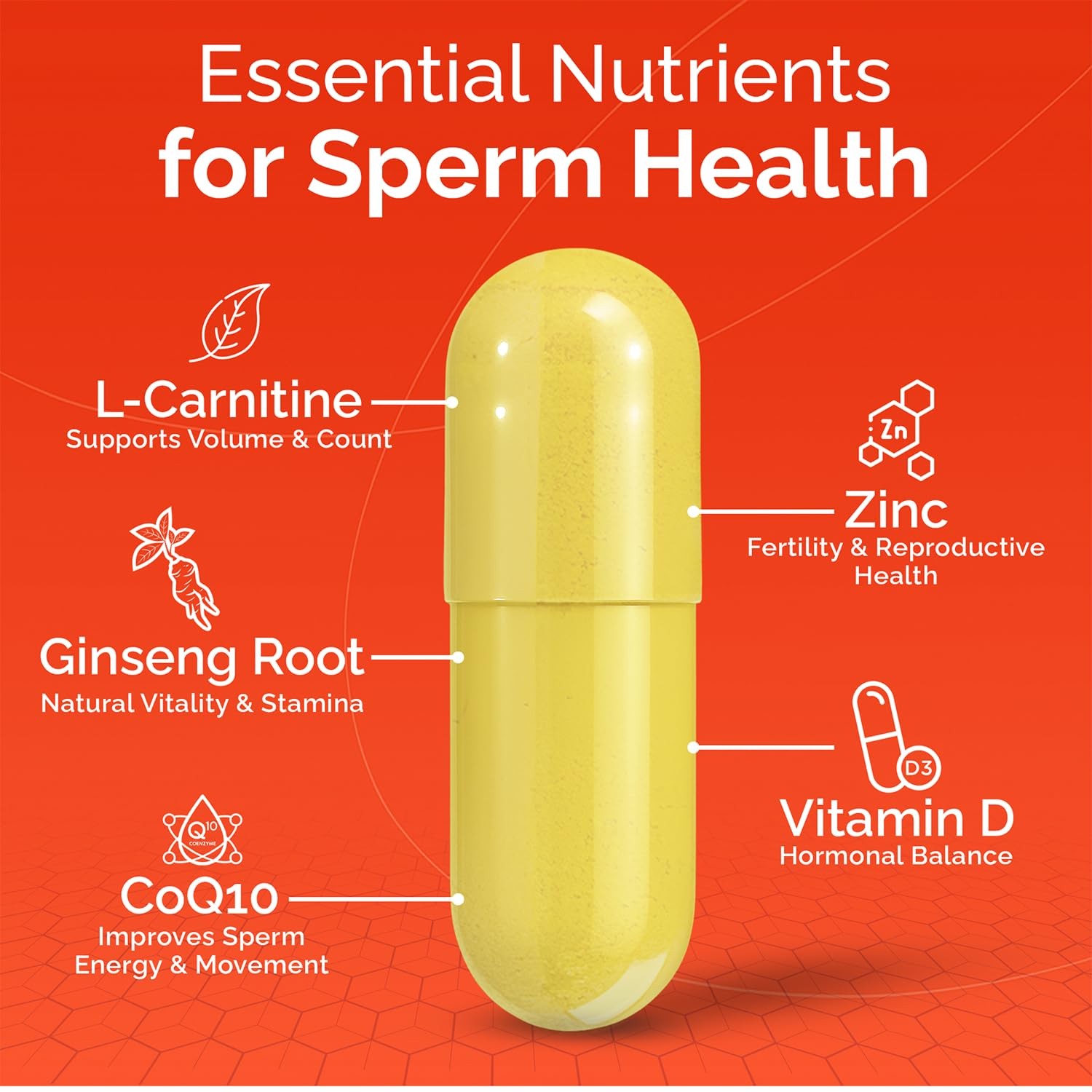CONCEIVE PLUS Motility Support for Men | Boost Sperm Volume & Count |