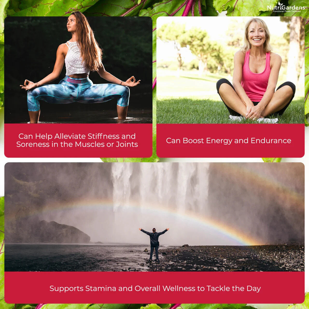 BEET BOOST With Tart Cherries for Daily Circulation Support