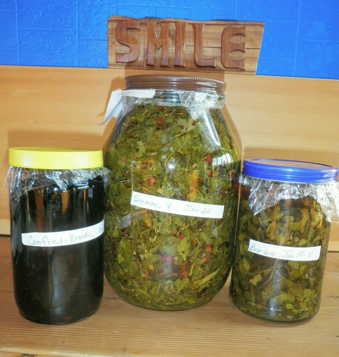 Usnea Tincture Clears Infections, Open Airways & Congestion, STDs & VD symptom