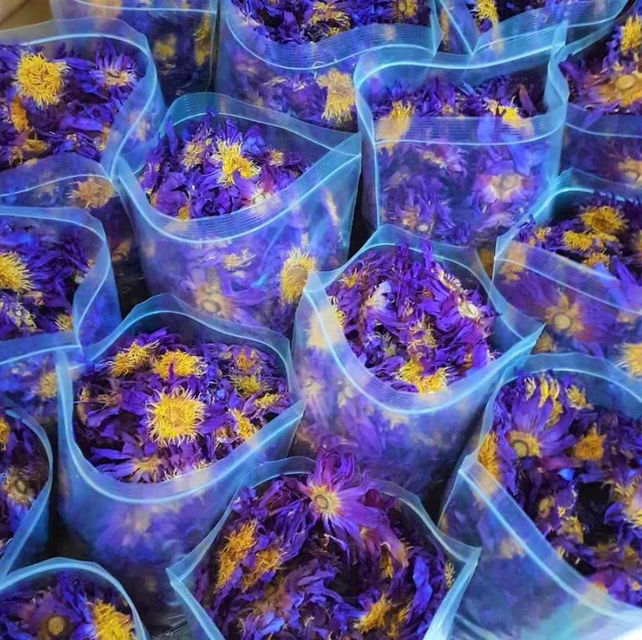 Blue Lotus (Nymphaea Caerulea) 100% Organic Natural Hand Picked Flowers Herb Tea