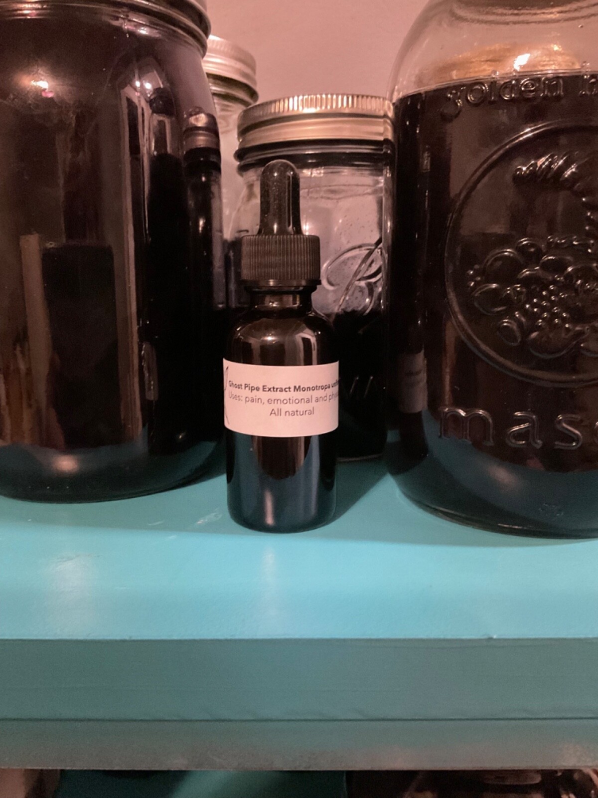 Ghost Pipe (Monotropa Uniflora) tincture 8 ounces never any dye