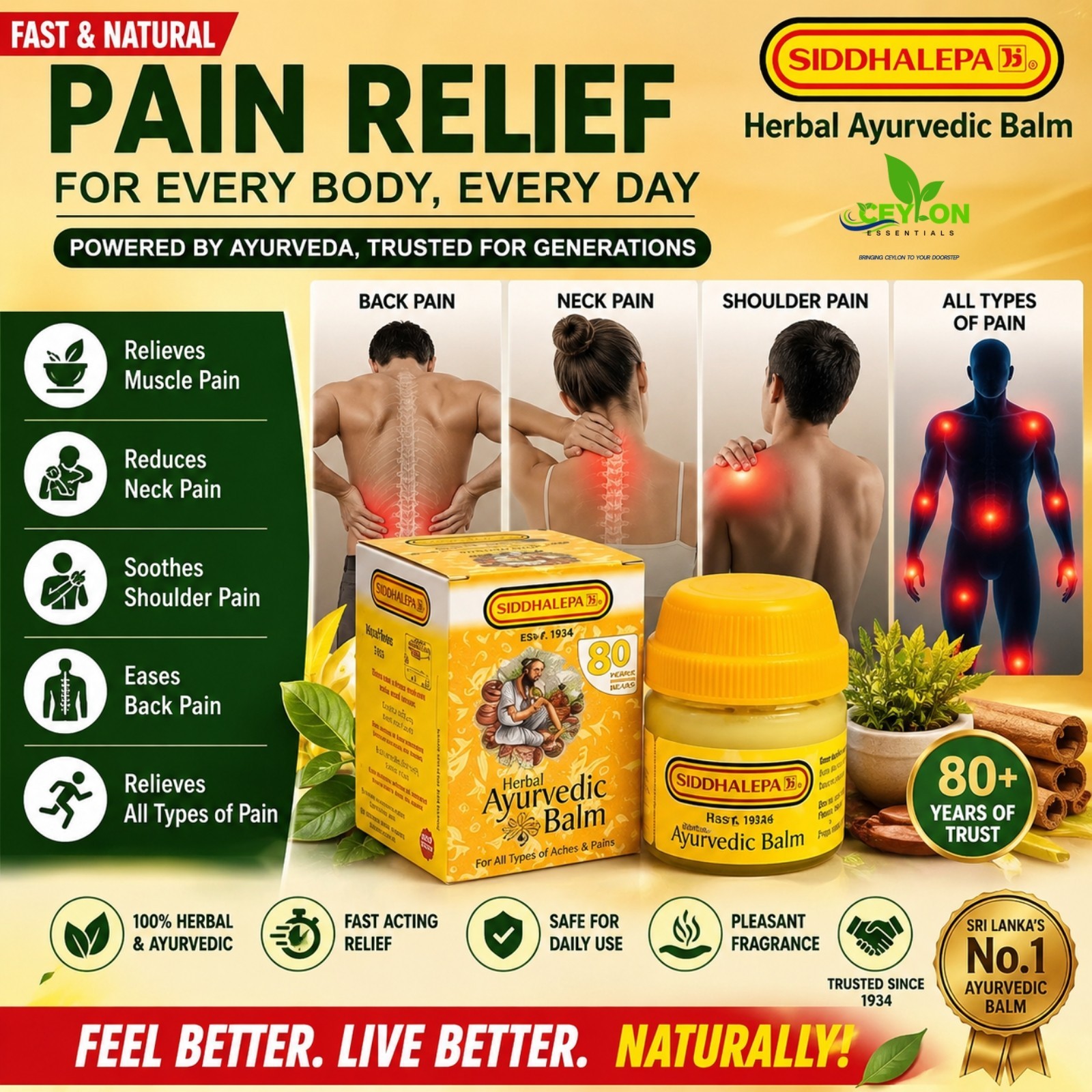 Siddhalepa Ayurvedic Herbal Balm Sri Lanka Pain Relief Muscle Joint Headache