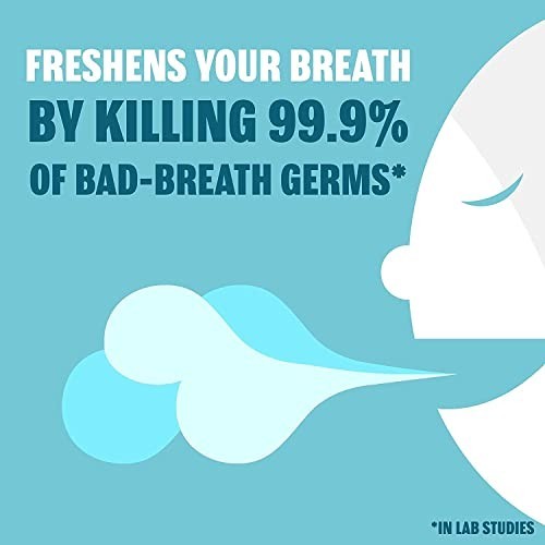Breath Strips Cool Mint 288 Count Pocket Packs Breath Freshener Bad Breath