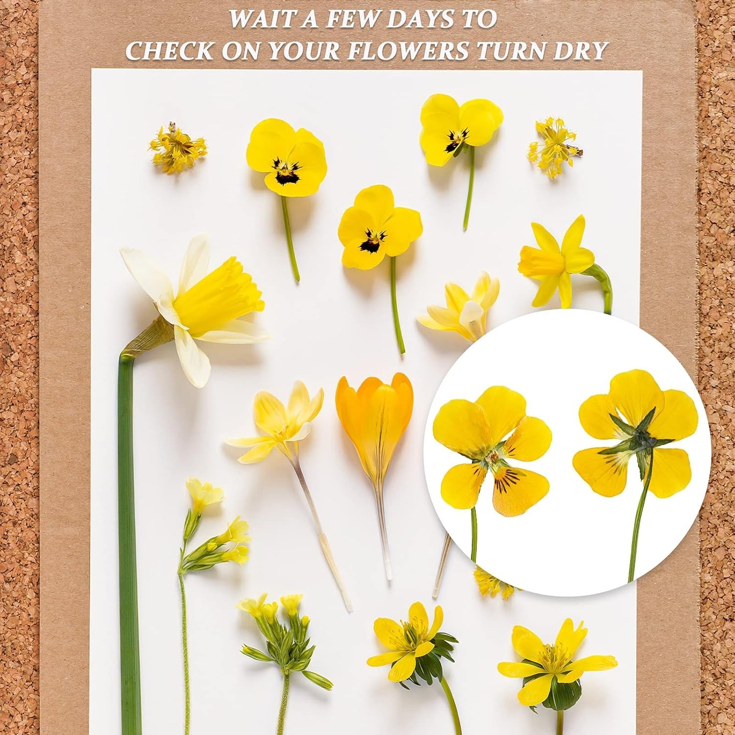Flower Press Blotting Paper Sheets Large Absorbent Reusable Craft Supplies