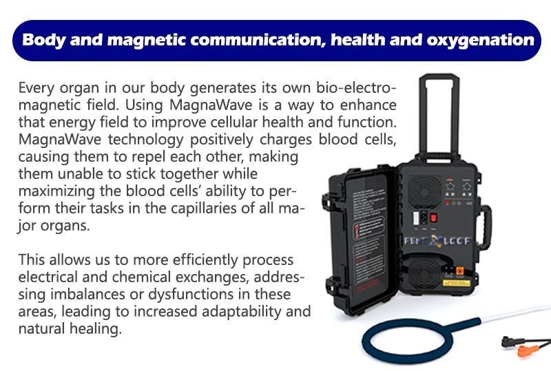PEMF Electromagnetic Field Physio Magnetic Therapy Machine With PEMF Mattress