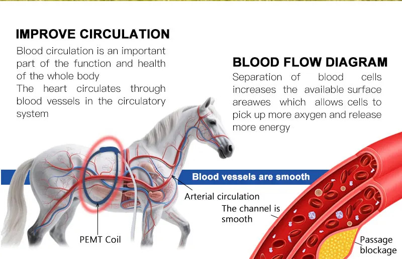 PMST Loop Magnetic Therapy PEMF EMTT Physio Magneto Horse Humans Massage Machine