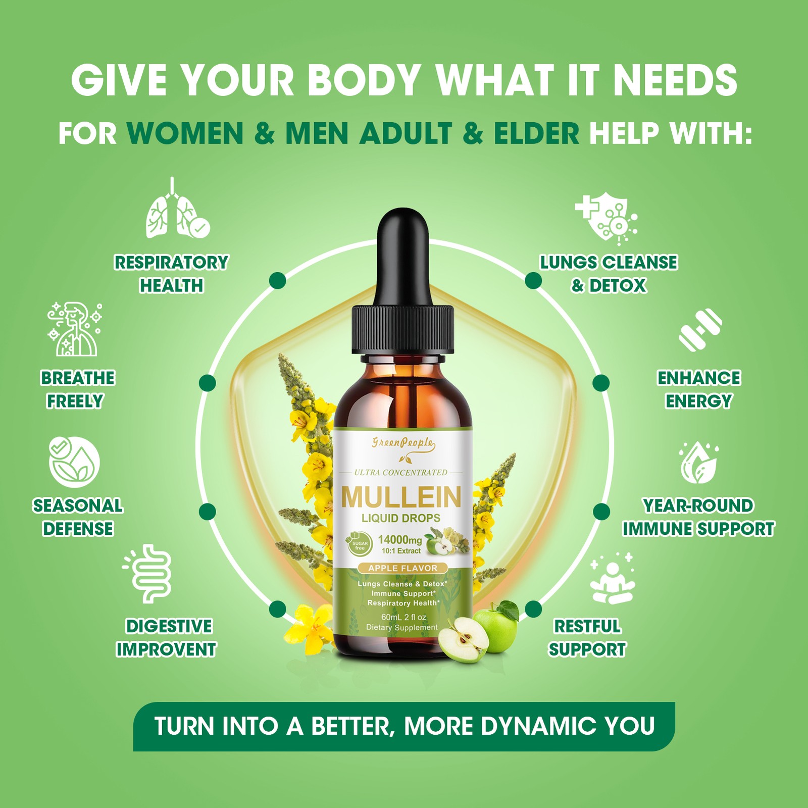 Mullein drops for Lung, Mullein Leaf Extract, Super Concentrated Tincture