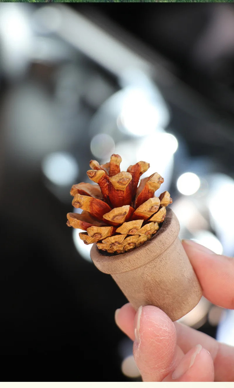 Wooden Nut Diffuser for Essential Oils – Car Air Freshener Aromatherapy