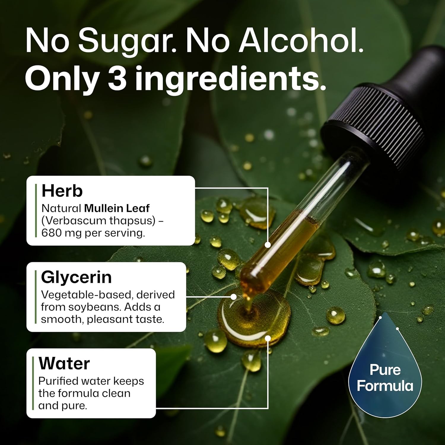 Mullein Drops for Lungs 4 Fl Oz Pure Natural Mullein Leaf Extract Supplement