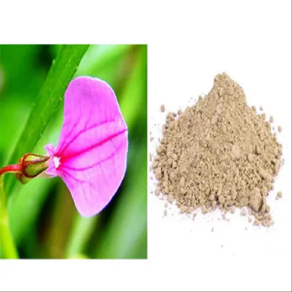 Orithal Thamarai Powder – Hybanthus Enneaspermus