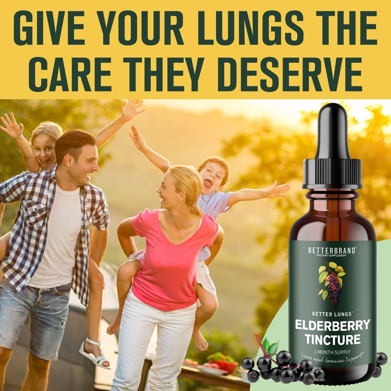 Mullein Leaf Extract & Elderberry Tincture Bundle – Natural Lung Health Support