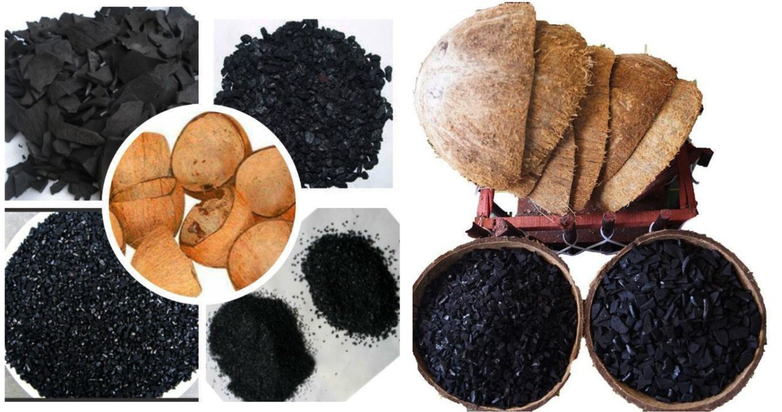Coconut Shell Charcoal activated Carbon teeth Whitening Powder Chip 100% Natural