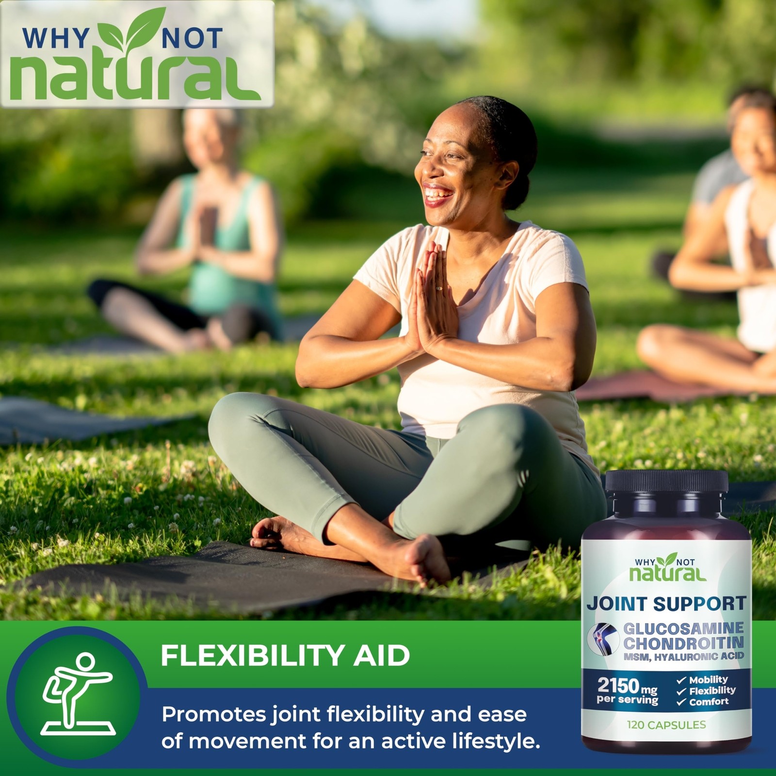 HOT-Why Not Natural Glucosamine Chondroitin MSM Joint Support Knee Health