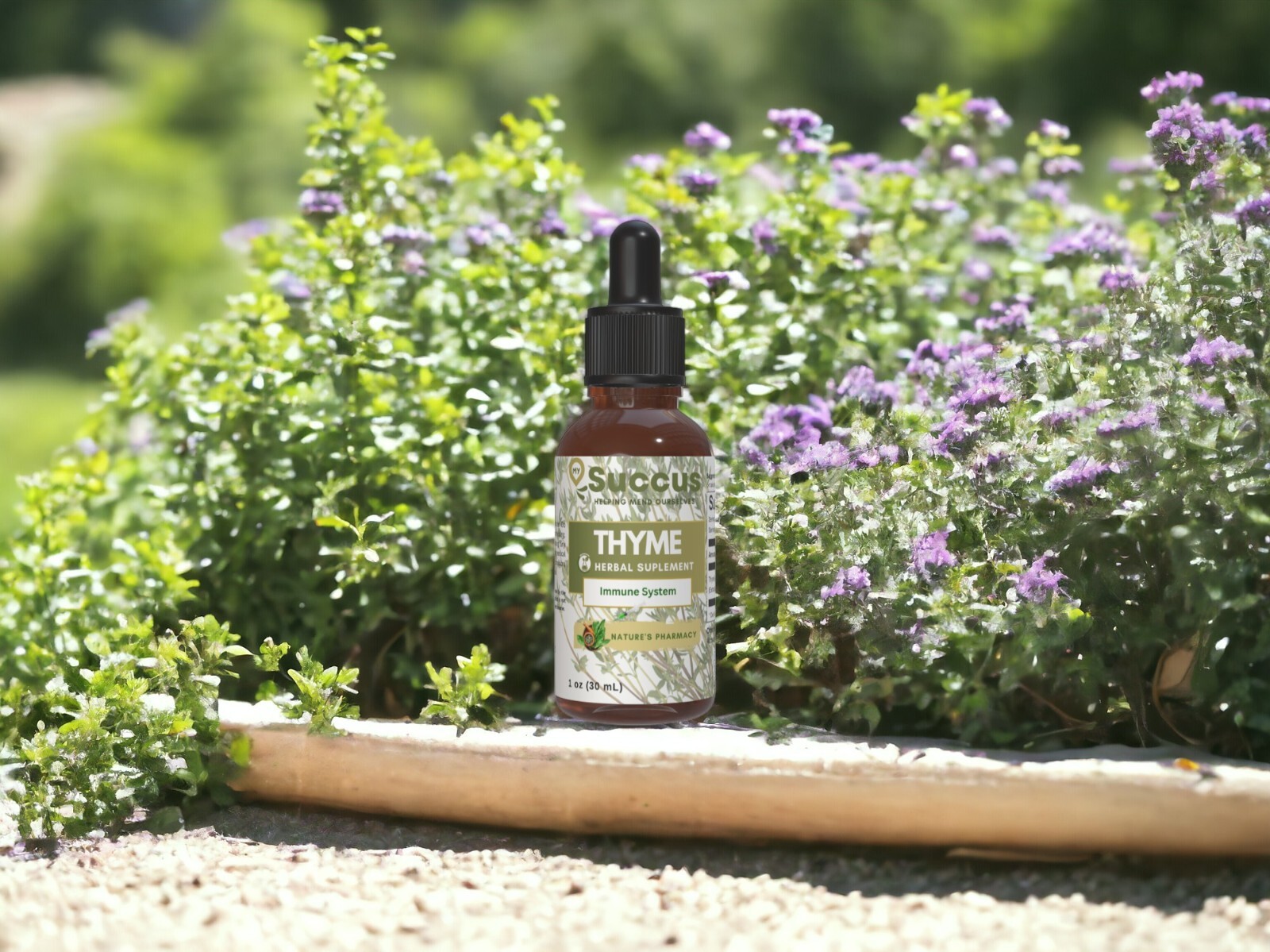 Thyme Tincture – (Immune System)