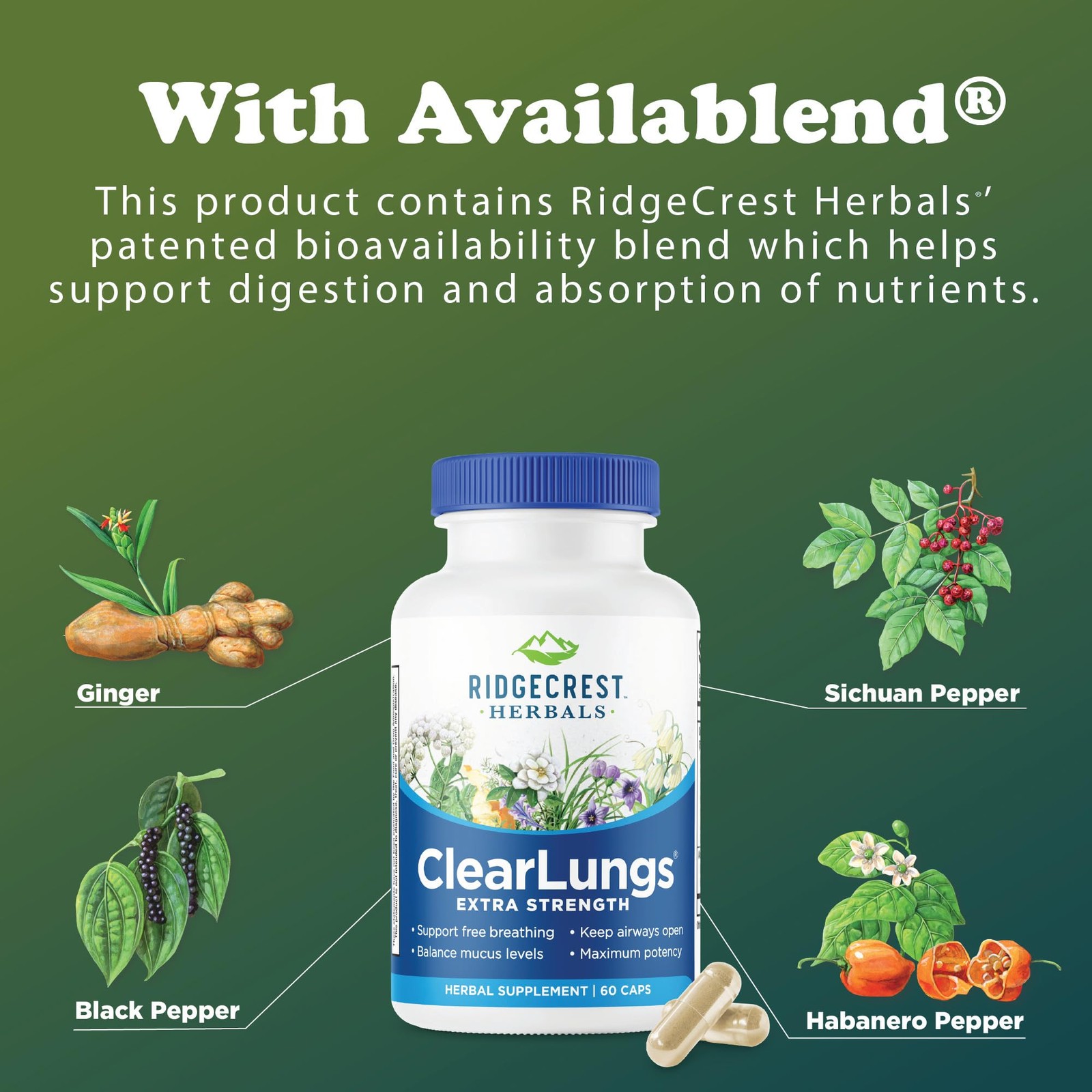 RidgeCrest Herbals ClearLungs Extra Strength, Natural Lung, Nasal Health Form…
