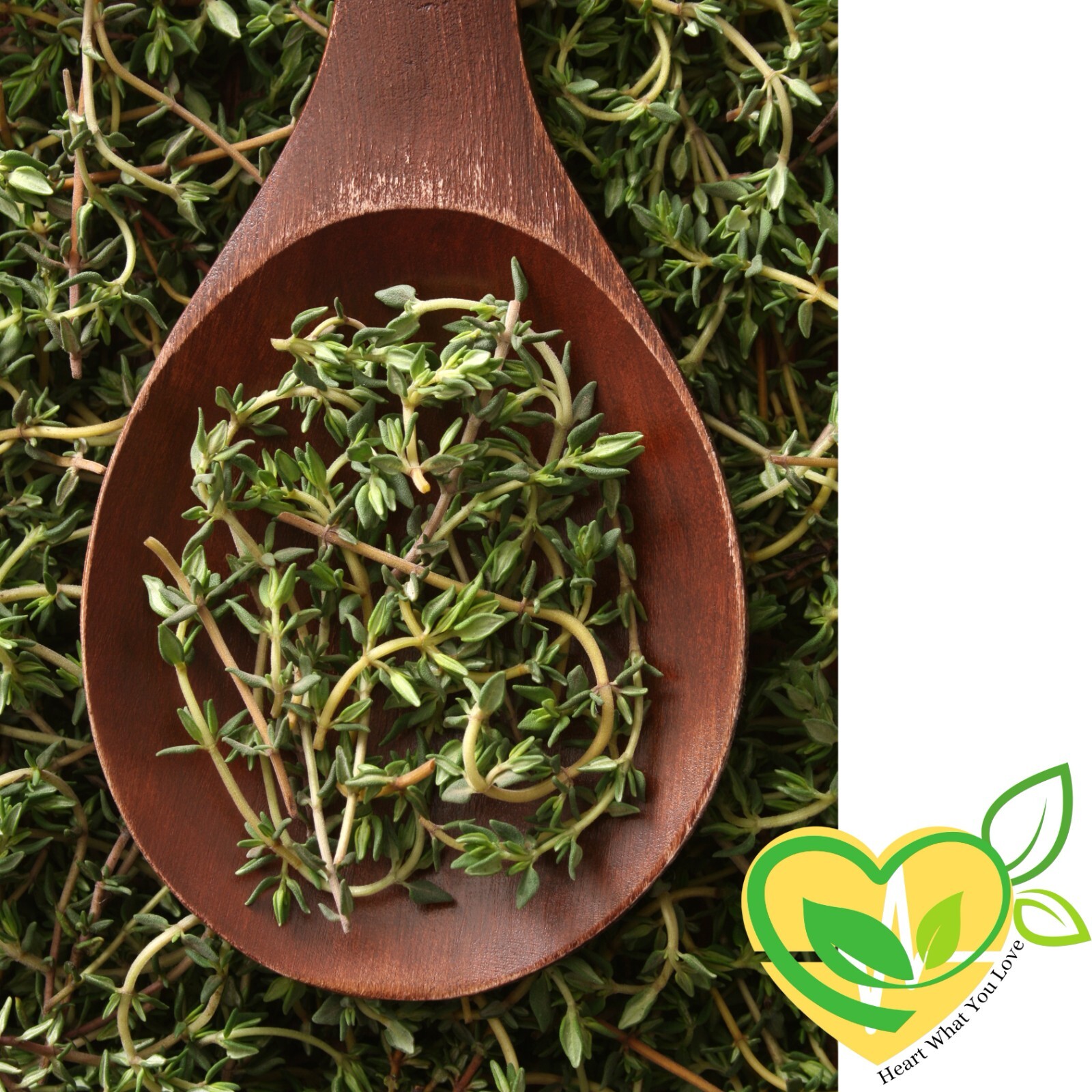 Organic Thyme Leaf Natural Herb Dried Cut 28.3g | 1 OZ Culinary & Medicinal Aid