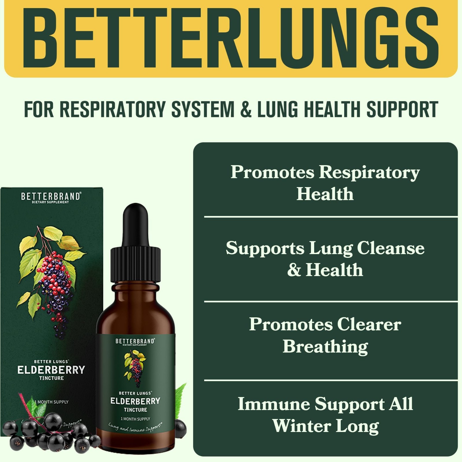 Mullein Leaf Extract & Elderberry Tincture Bundle – Natural Lung Health Support
