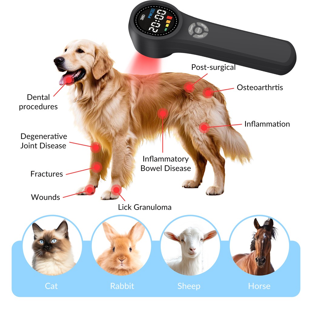 LLLT Laser Physiotherapy Near Infrared Light Therapy Device For Body Pain Relief