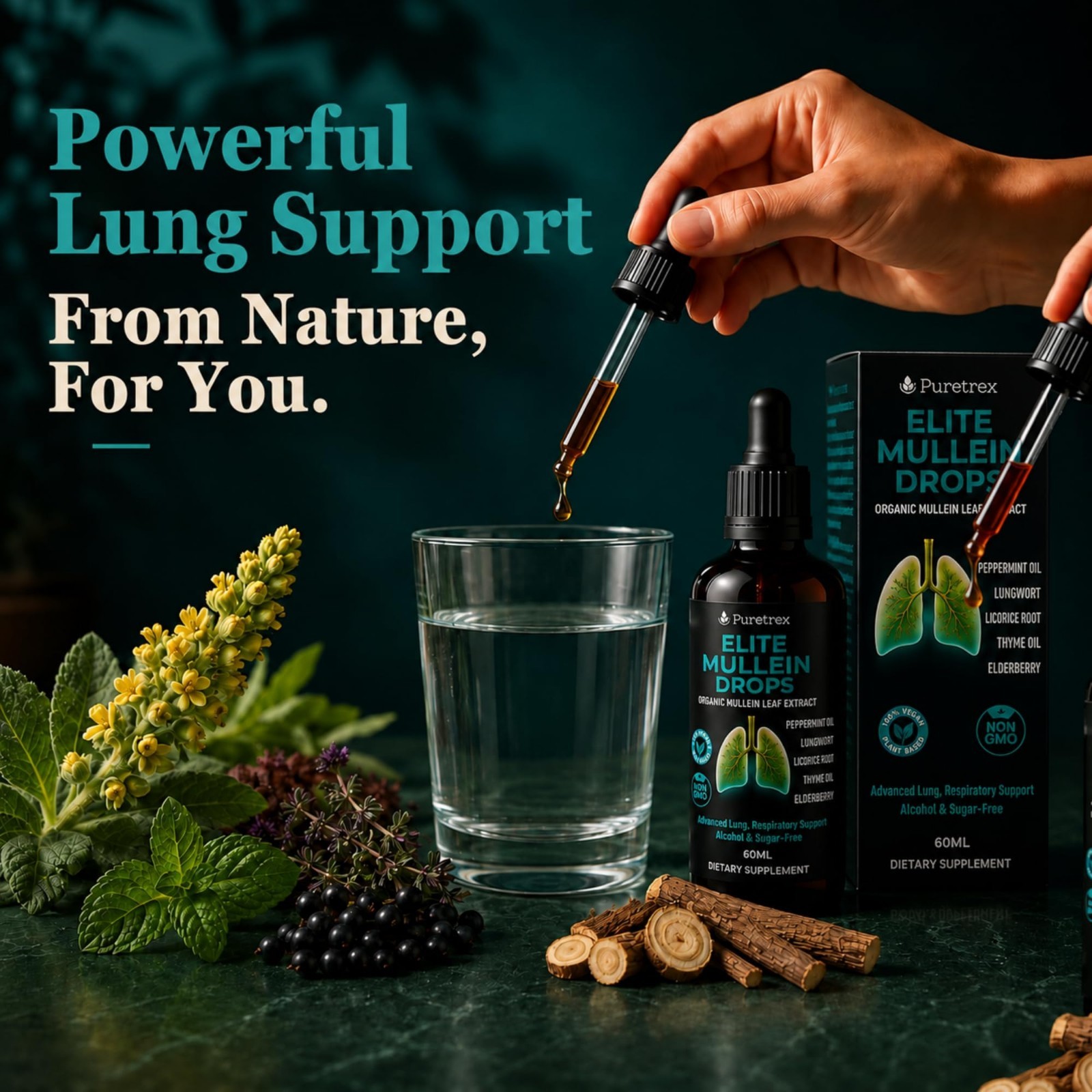 Mullein Drops for Lungs & Respiratory Support, Herbal Extract, 60mL