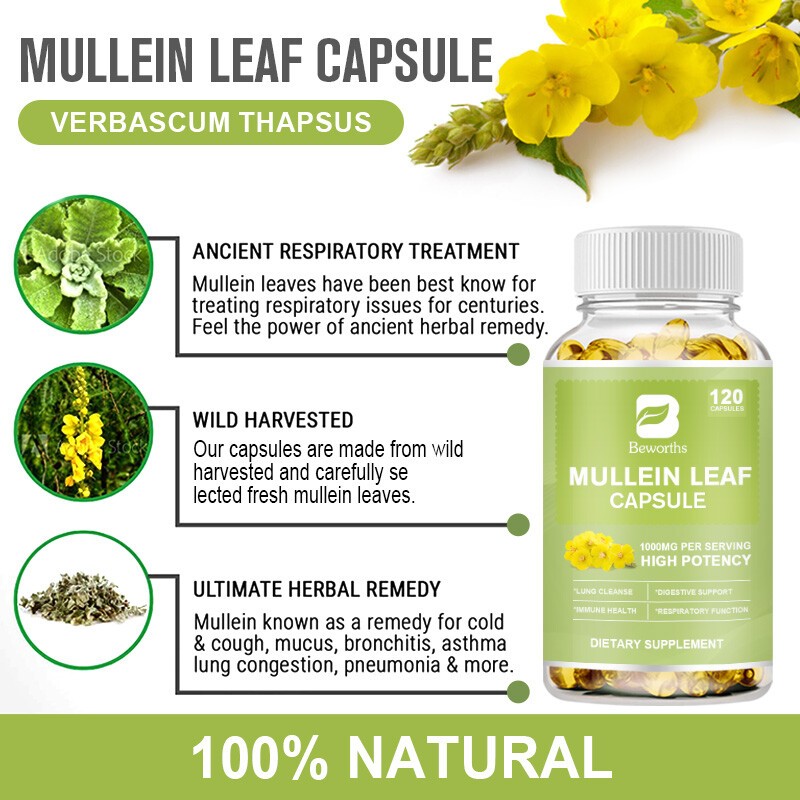 Mullein Leaf Extract Softgels 1000mg Lung Detox for Lung Cleanse Supplement