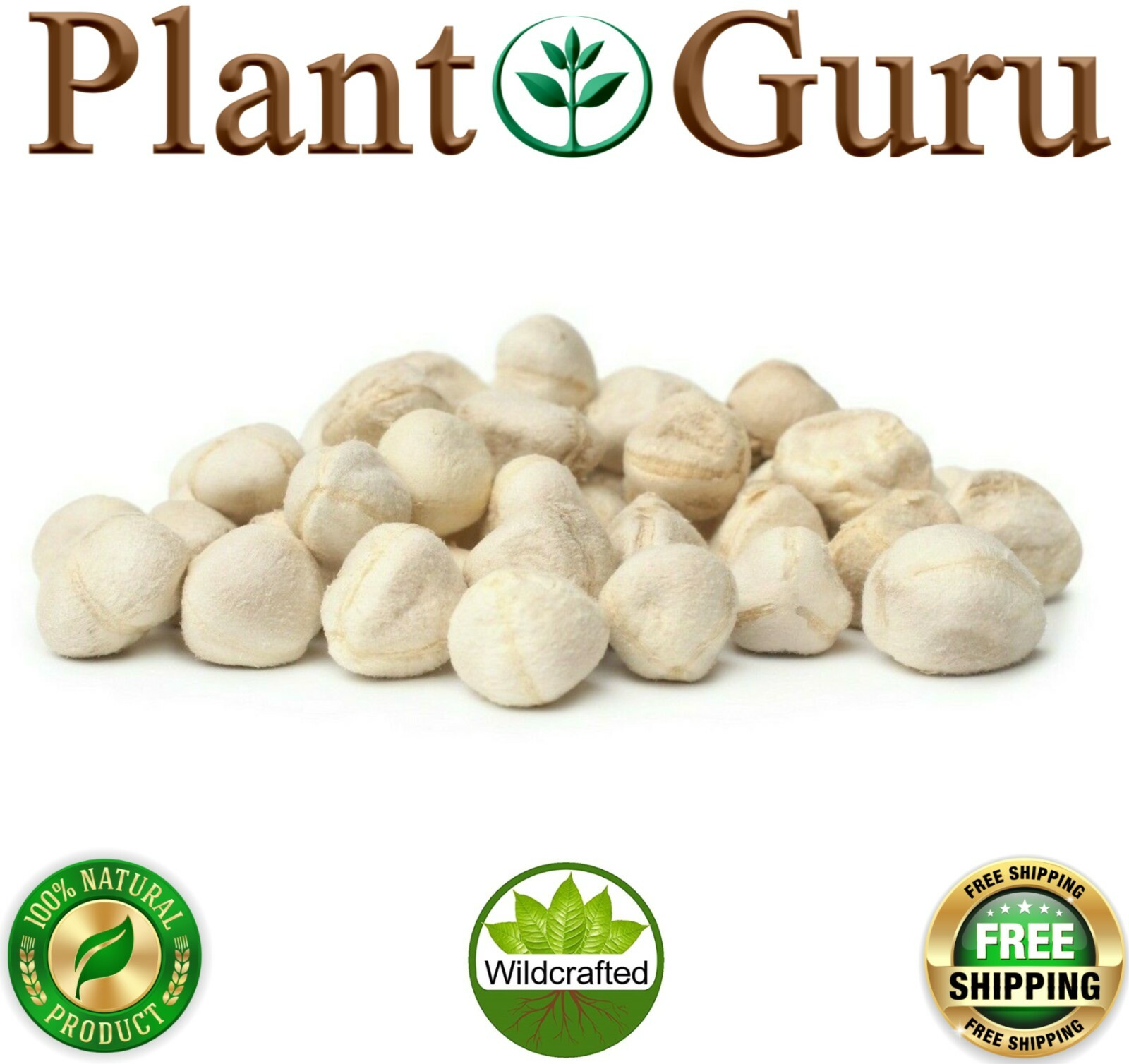 Moringa Oleifera Seeds Kernel SHELLED Fresh Organic Semilla De Moringa Bulk
