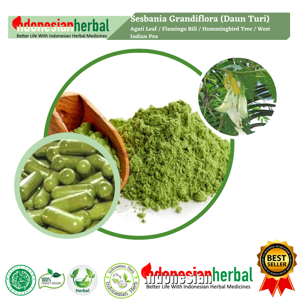 POWDER Agati Leaf Vegetable Hummingbird Tree Sesbania Grandiflora Organic Herb