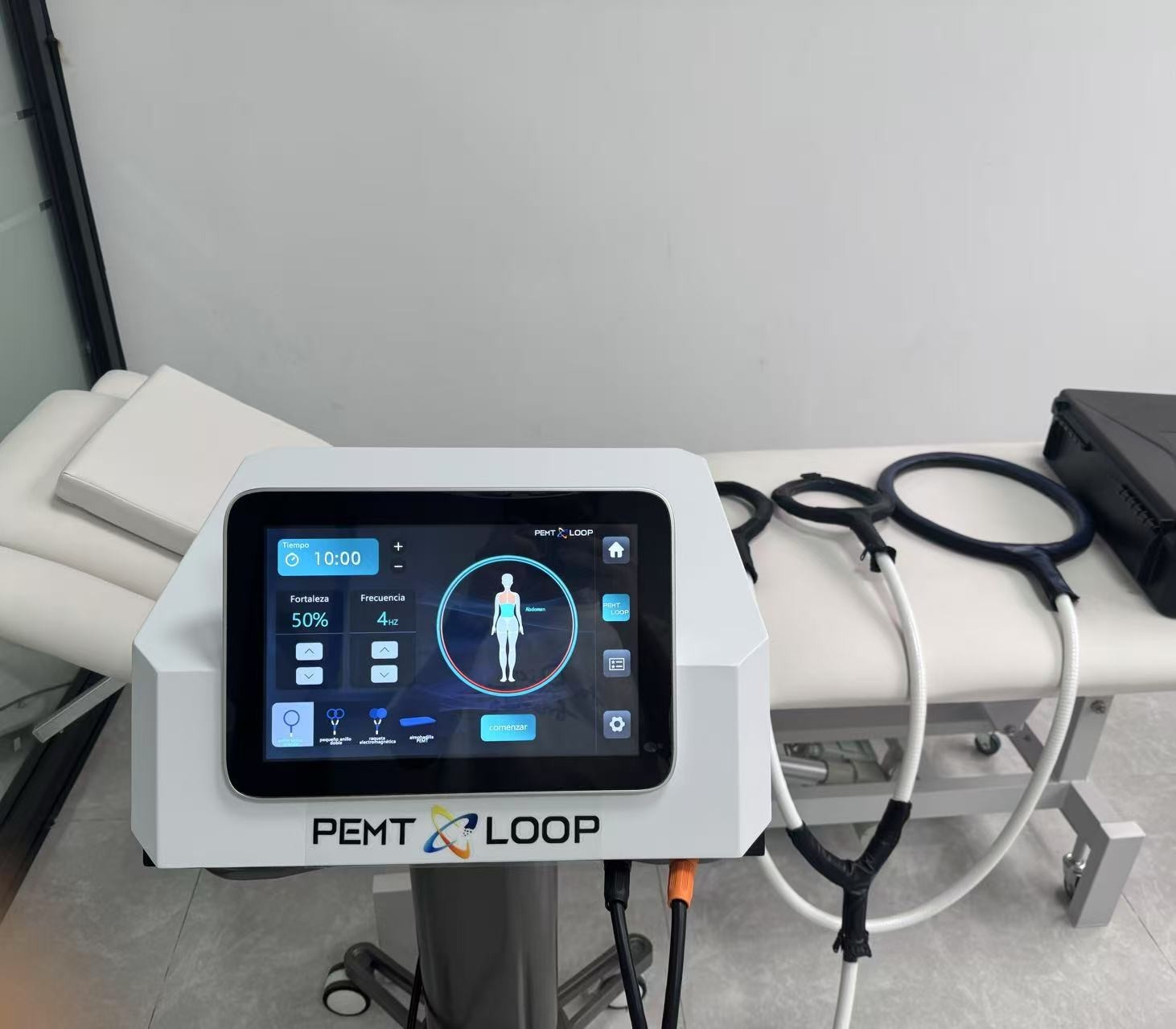 PMST Loop EMTT PEMF Machine Magnetic Physio Therapy Massage Pain Relief Animals