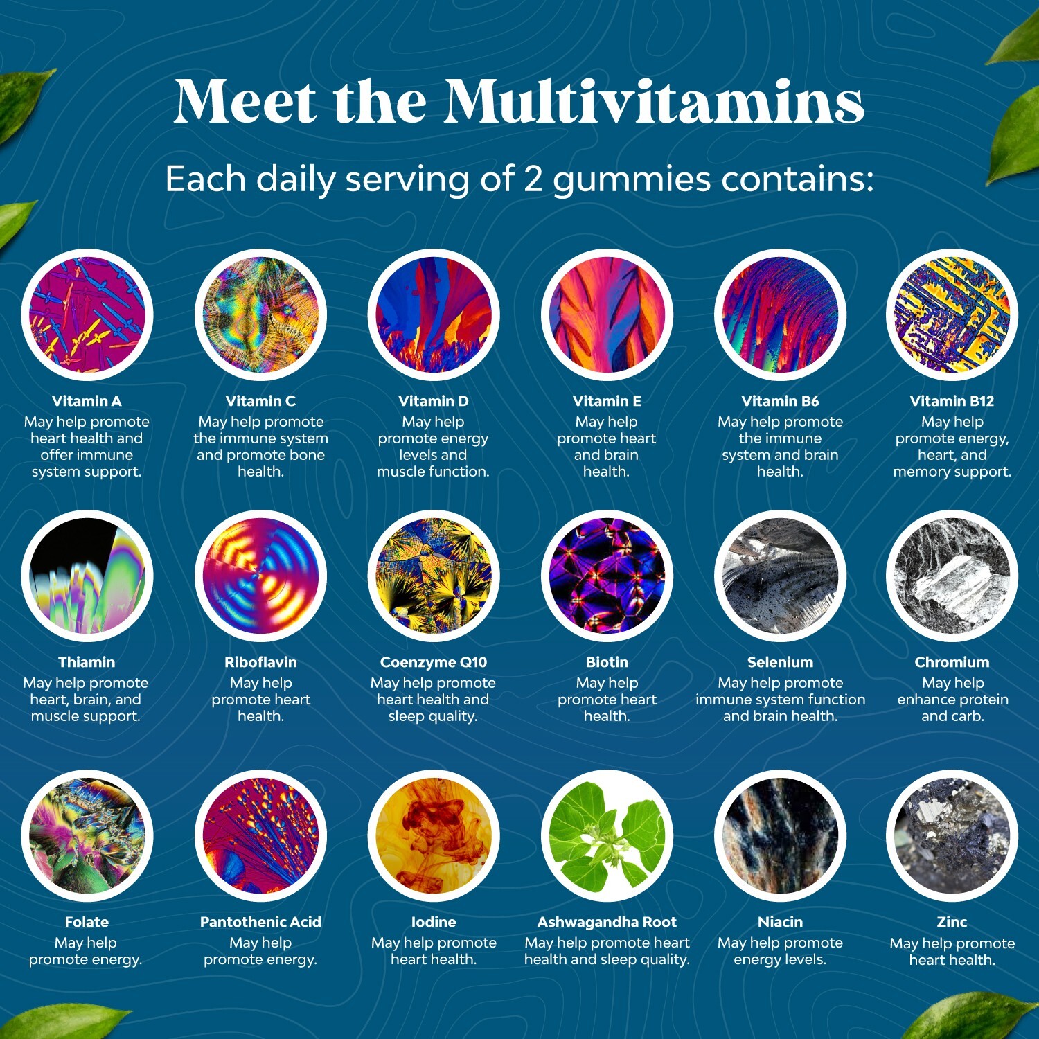 Men’s Multivitamin Gummies with Superfood Complex – Daily Support