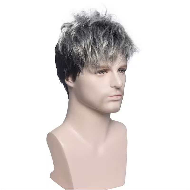 Men’s 6in Short Silver Gray Wig Full Cosplay Synthetic Heat Resistant