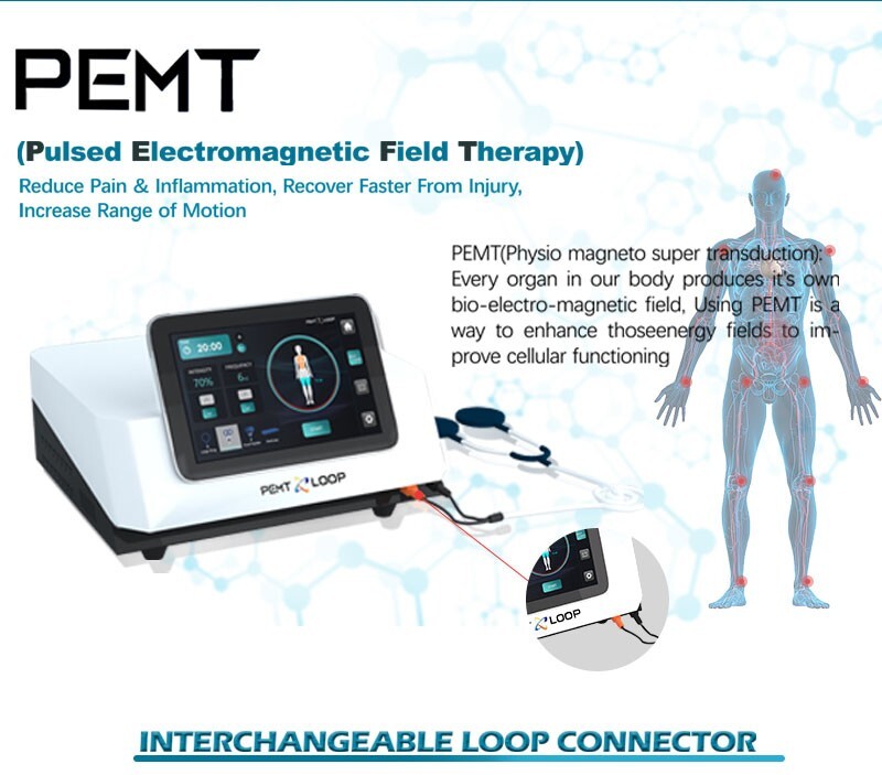 PMST Loop EMTT PEMF Machine Magnetic Physio Therapy Massage Pain Relief Animals
