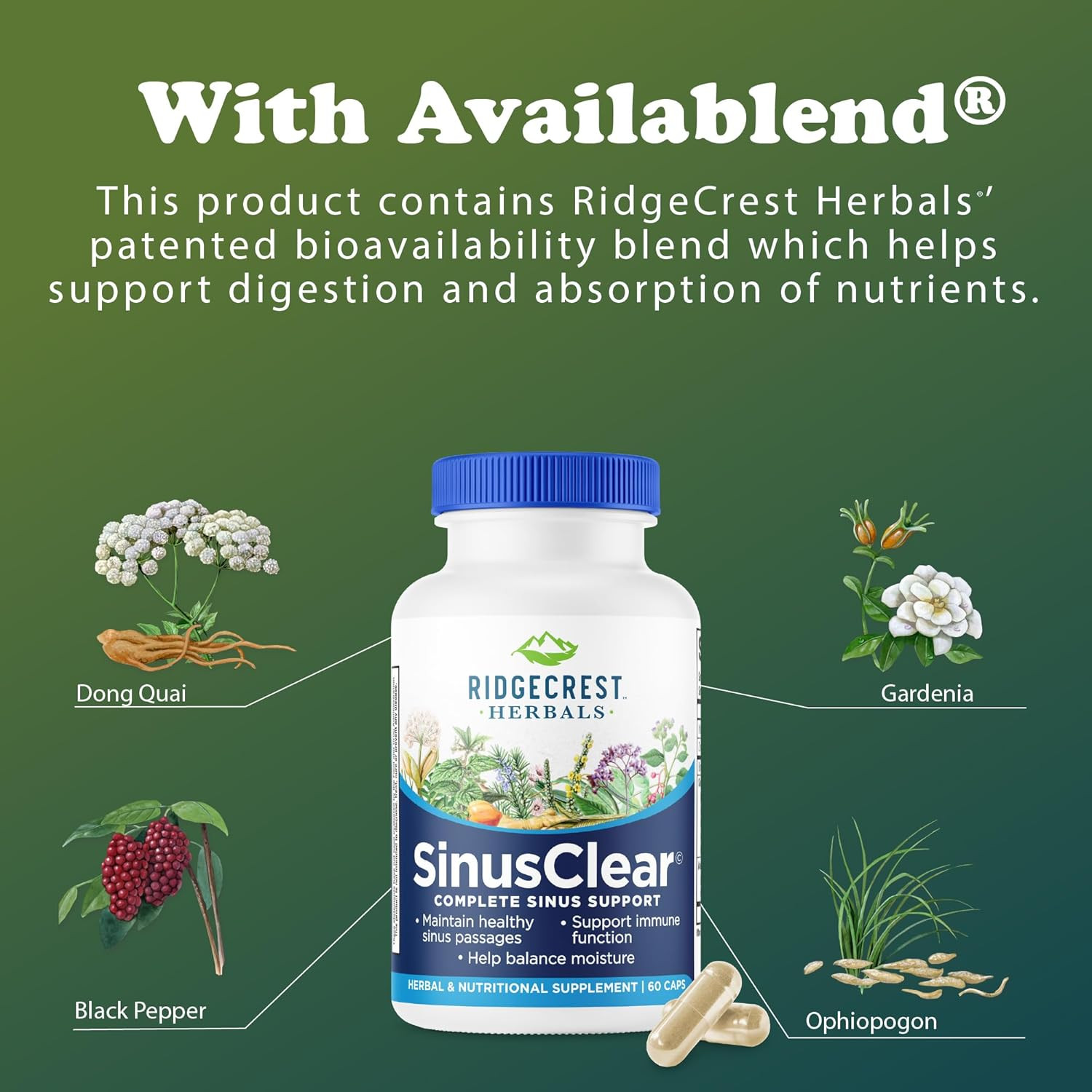 Ridgecrest Herbals Sinusclear, Complete Formula for Sinus and Nasal Health with