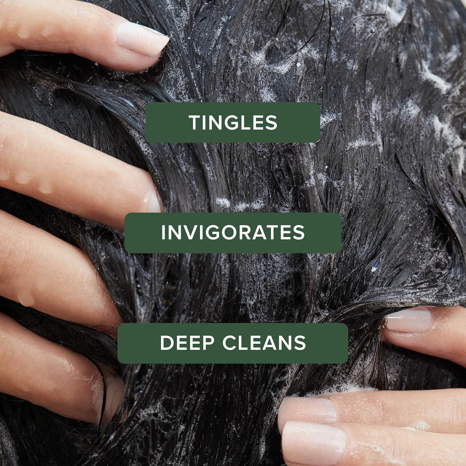 Paul Mitchell Tea Tree Special Shampoo – Invigorating Deep Clean for All Hair…