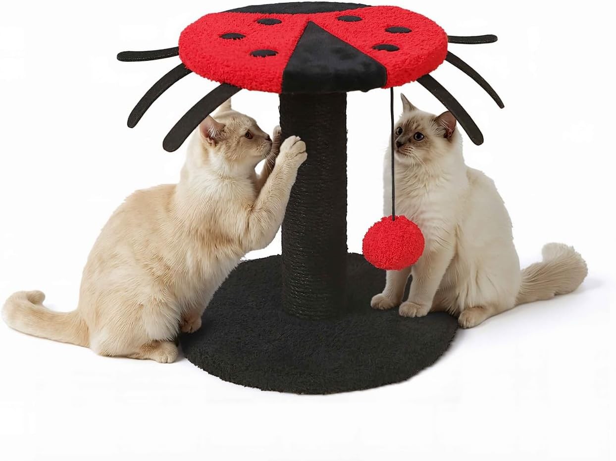 CAPHAUS Scratching Post,10 Inch Modern Lady Bug-Style Cat Scratchers for Indoor