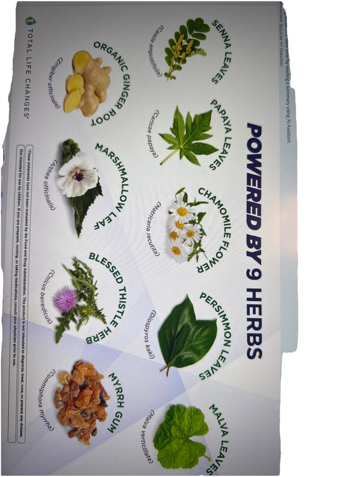 Iaso Tea Original Dietary Supplement 5 Pack Powered By 9 Different Herbes