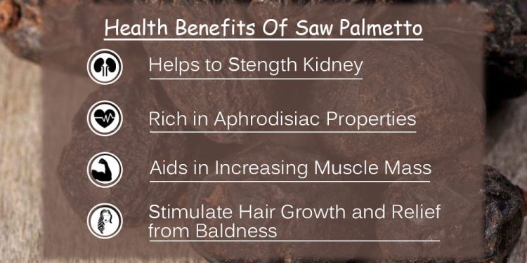 Reduce Urination – PROSTATE SUPPORT COMPLEX – saw palmetto 1 Bottle 60 Capsules