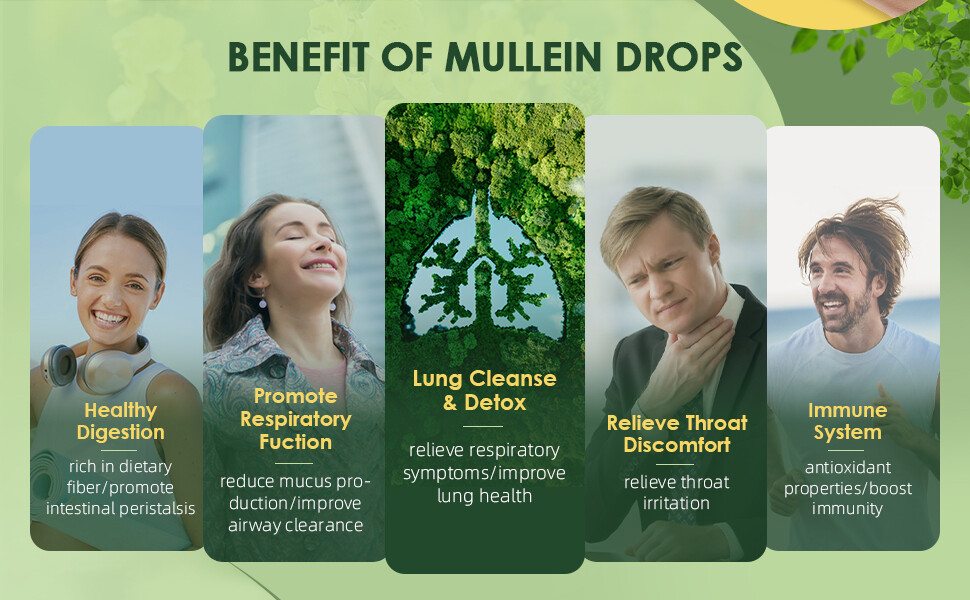 2 PACK Mullein Drops for Lungs, Detox and Cleanse Mullein Extract Supplement