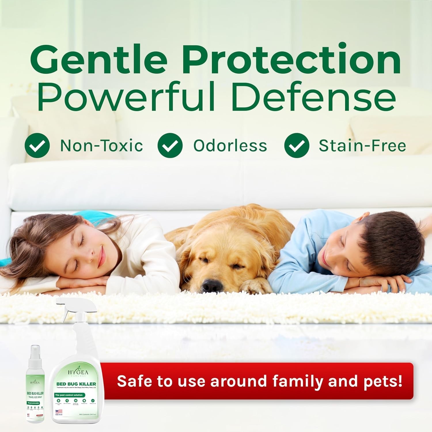 Non Toxic Insect Exterminator Combo