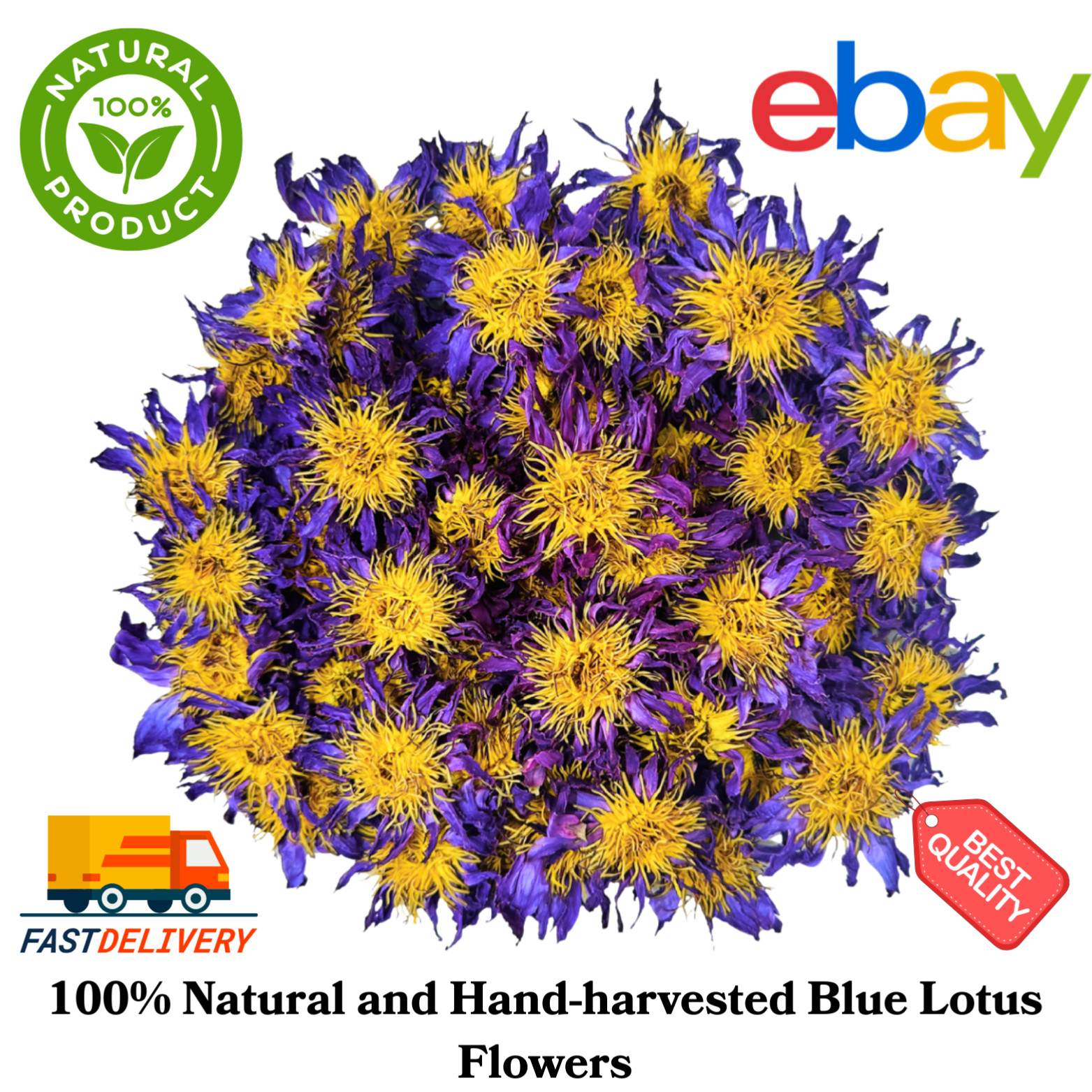 Blue Lotus Dried Flower 32 Oz Nymphaea Caerulea Herbal Tea 100% Natural